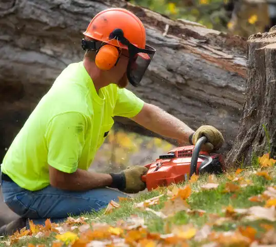 tree services Taylortown